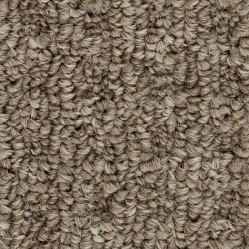 Innofibe - Sultana Ii - Bistre Brown