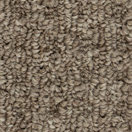 Innofibe - Boloria Ii - Bistre Brown