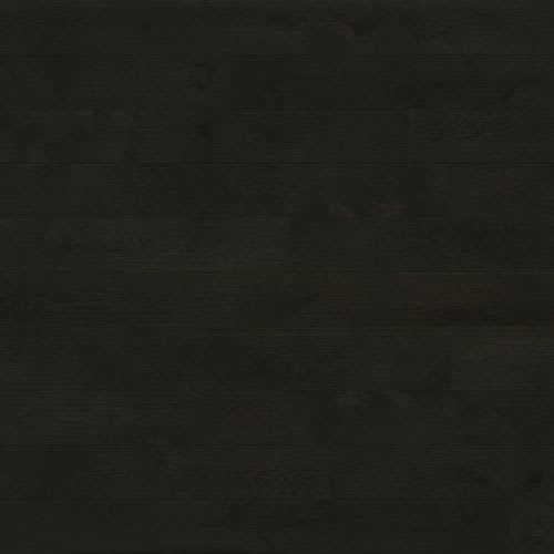Designer Collection - Black Cape