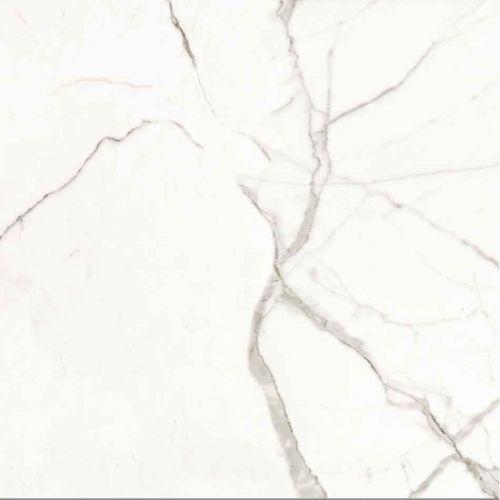 Glamour - Calacatta Matt - 24 X 24