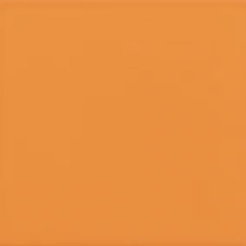 Color Story Wall - Mandarin-2X8X.375