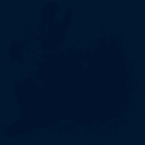 Color Story Wall - Navy-2X8X.3125
