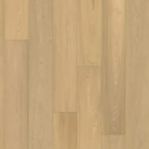 Canvas - Mural