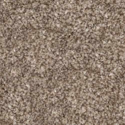 Tryesse - Serene Ambiance - Cabriolet Brown