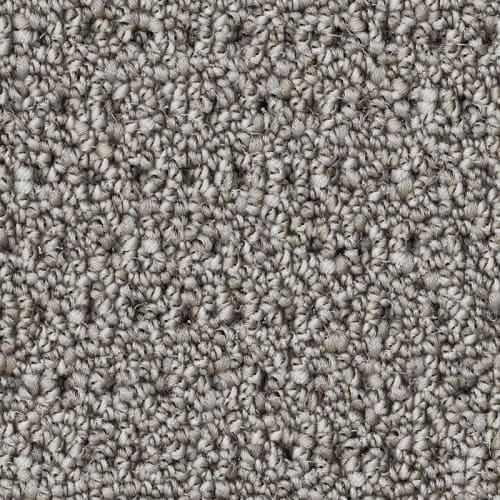 Nyluxe Petguard - Polka Dot - Capstan Grey