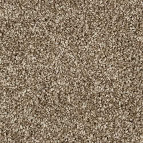 Tryesse Ultra - Silky Sparkle - Ceylan Tea