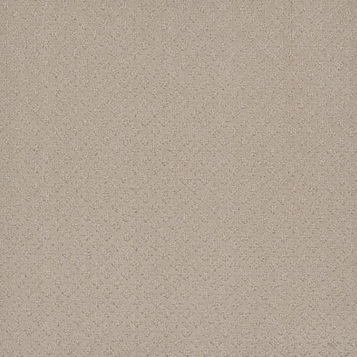 Stellar - Champagne Fizz