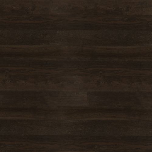 Designer Collection - Cite