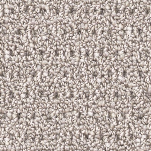 Nyluxe Petguard - Polka Dot - Clear Ochre Brown