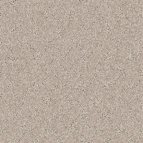 Nyluxe Petguard - Snowscape - Clear Ochre Brown