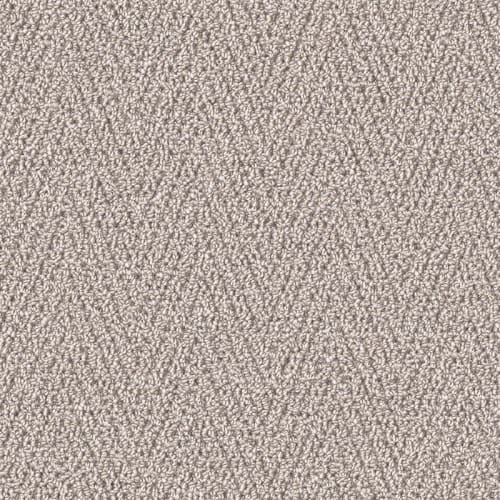 Nyluxe Petguard - Tricot - Clear Ochre Brown