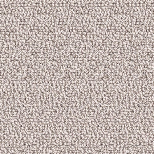 Nyluxe Petguard - Twill - Clear Ochre Brown