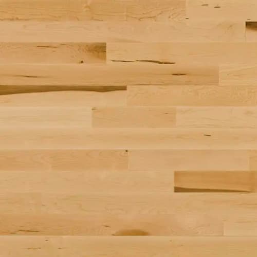Decor Hard Maple - Engineered - Natural, Exclusive 3.125