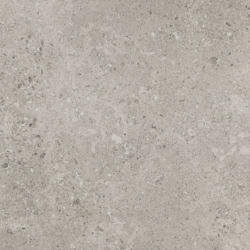 Dignitary - Superior Taupe 12X24