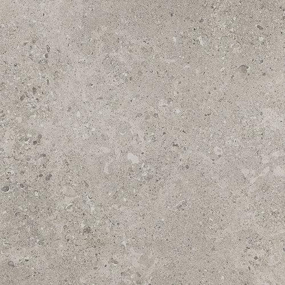 Dignitary - Superior Taupe 12X24