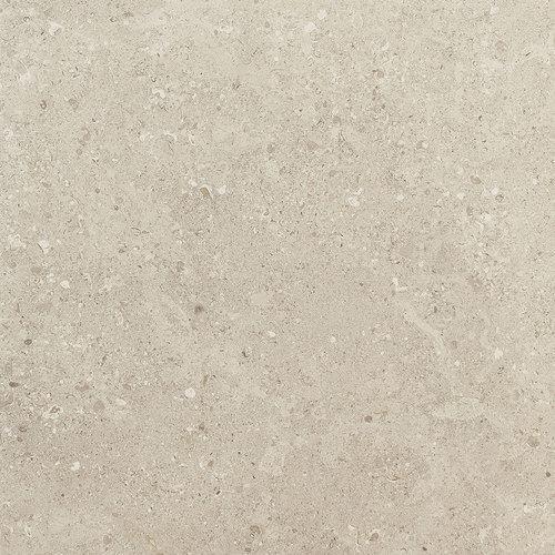 Dignitary - Notable Beige 12X24