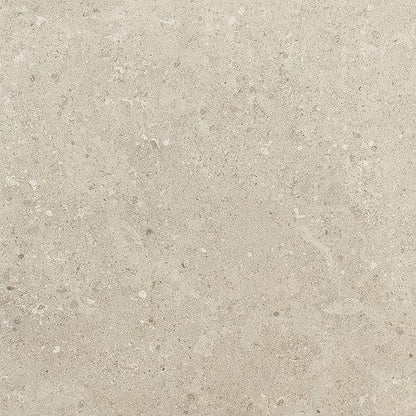 Dignitary - Notable Beige 12X24