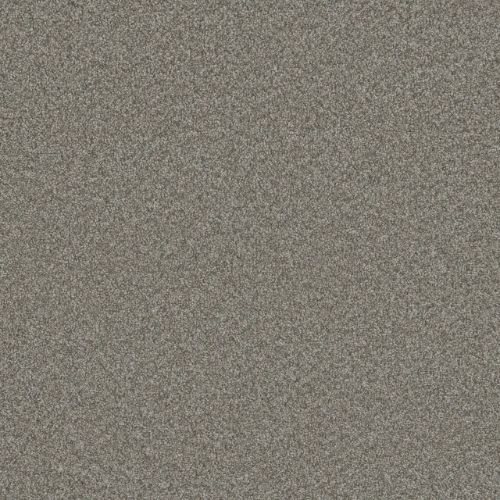 Blazer Iii - Dogwood