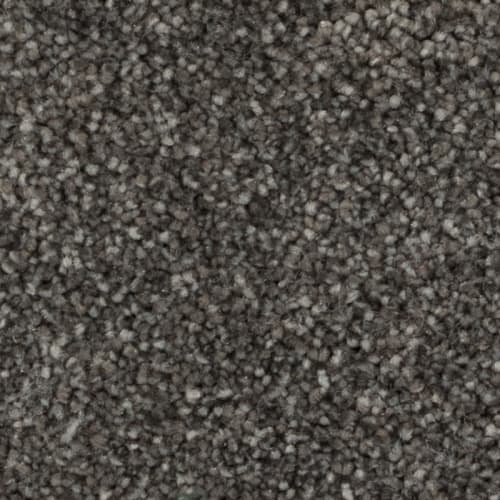 Tryesse Pro - Calm Sanctuary - Downtown Brown