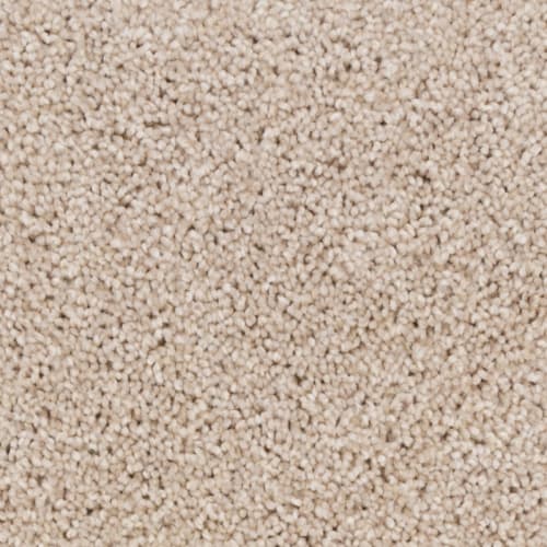 Tryesse Pro - Peak Point - Dune White