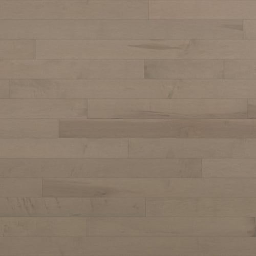 Essential Hard Maple - Engineered - Talpa 4.125