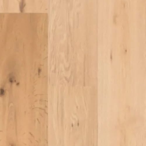 Classical Elegance - Rubato