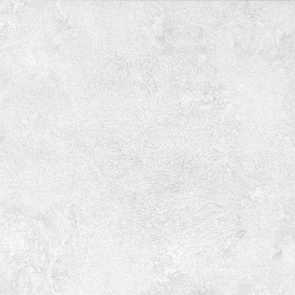 Evolution in White - 12 X 24