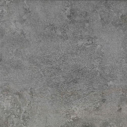 Evolution in Anthracite - 12 X 24