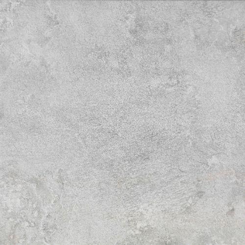 Evolution in Grey - 12 X 24