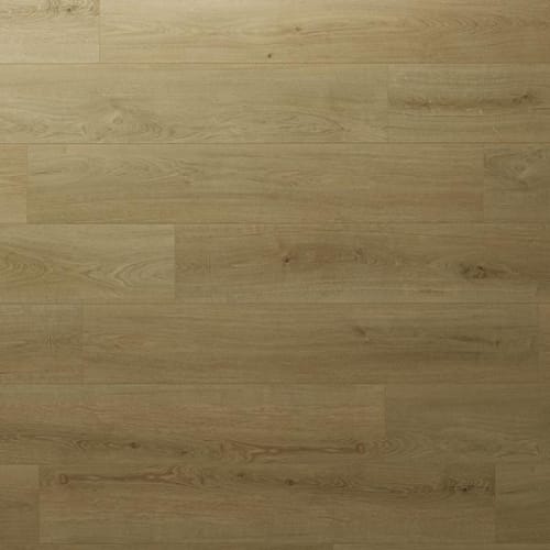 Firmfit Matte - Newman