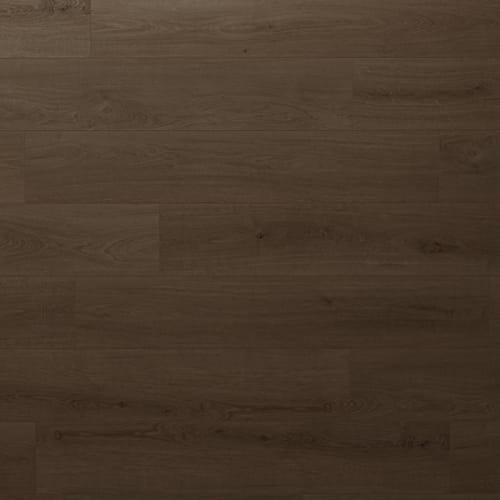 Firmfit Matte - Goodall
