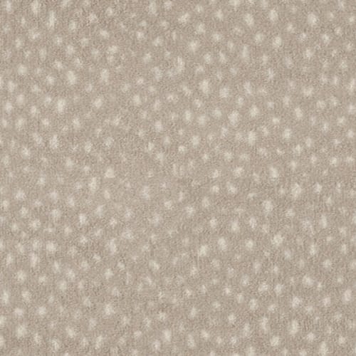 Imagine - Exotic Escape - Dapple