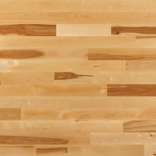 Essential Yellow Birch - Solid - Natural, Tradition 3.25