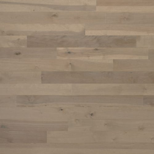 Essential Yellow Birch - Solid - Talpa 3.25