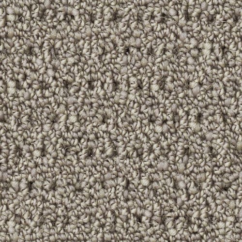 Nyluxe Petguard - Polka Dot - Estuary Fog
