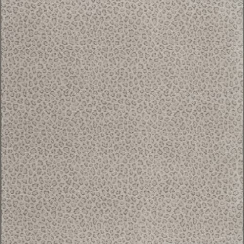 Exotic Touch - Cloud Shadow