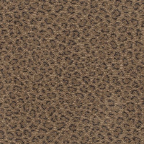Imagine - Exotic - Touch