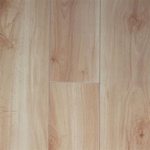 Tropics - Bimini Beech