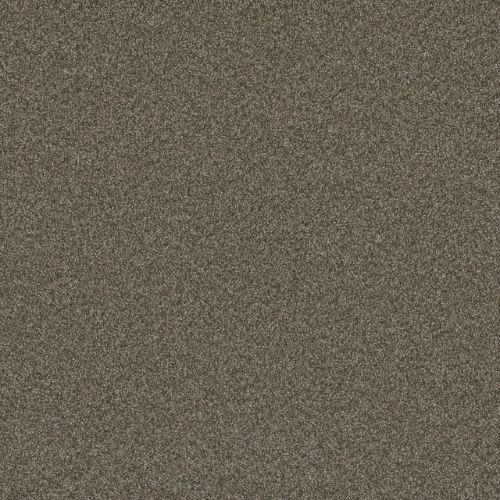 Blazer Ii - Fawn