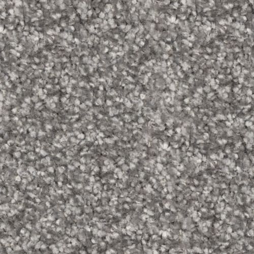 Nyluxe Petguard Tri Twist - Prodigy - Flint