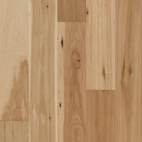 Latitude Collection - Forest Park - Natural