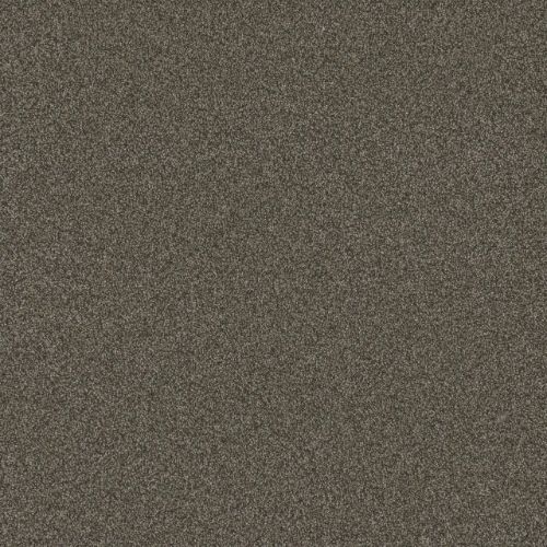 Blazer Iii - French Roast