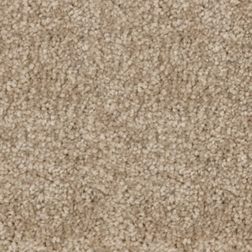 Nyluxe Sdn - Webster Sdn - Graffiti Beige