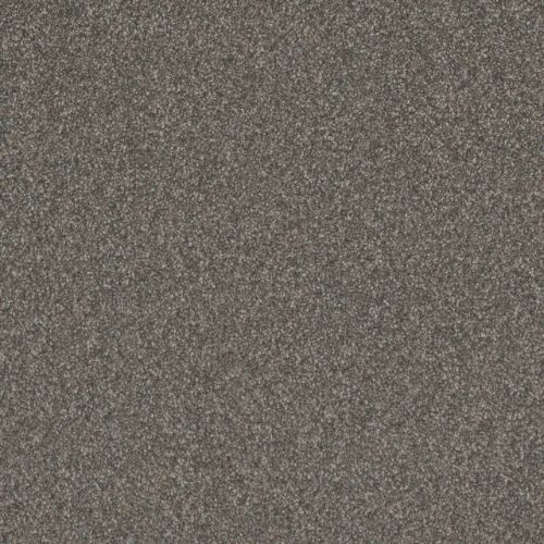 Gold Standard Ii - Graphite