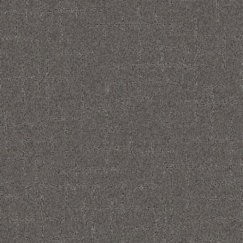 Nyluxe Petguard - Nightscape - Grey Wall