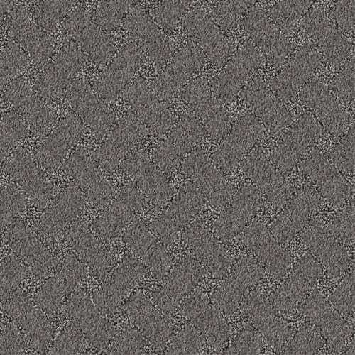 Nyluxe Petguard - Snowscape - Grey Wall