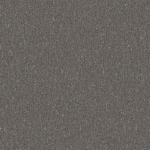 Nyluxe Petguard - Spiderweb - Grey Wall