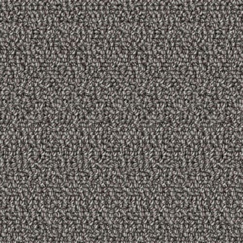 Nyluxe Petguard - Twill - Grey Wall