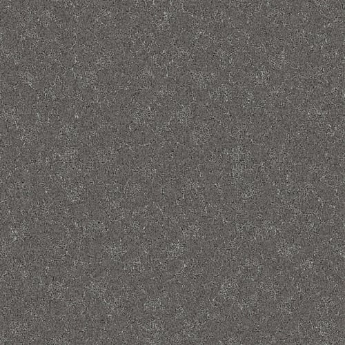 Nyluxe Petguard - Cloudscape - Grey Wall