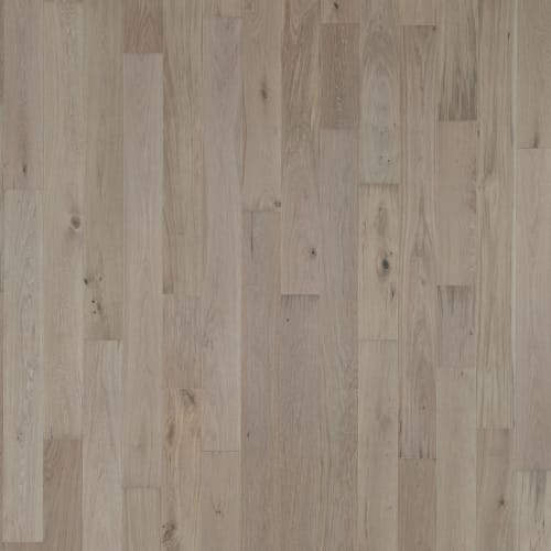 Latitude Collection - Park City - Alpine